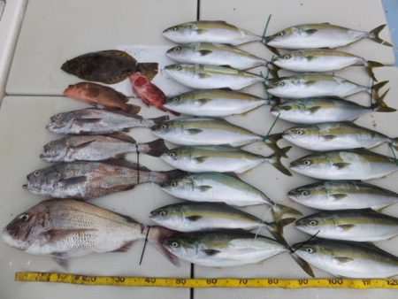 Hit Rush(ヒット ラッシュ） 釣果…