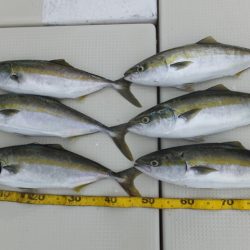 Hit Rush(ヒット ラッシュ) 釣果