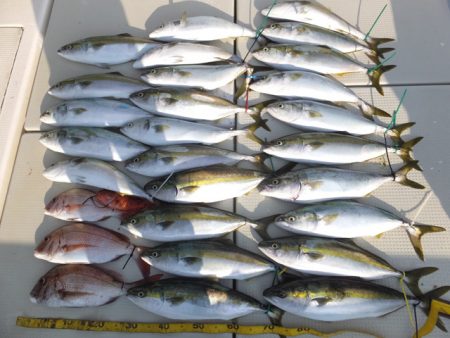 Hit Rush(ヒット ラッシュ） 釣果…