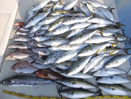 Hit Rush(ヒット ラッシュ） 釣果…