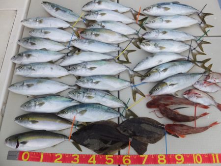 Hit Rush(ヒット ラッシュ） 釣果…