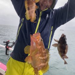 釣船 浦島太郎 釣果