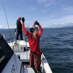 sea boss シーボス 釣果