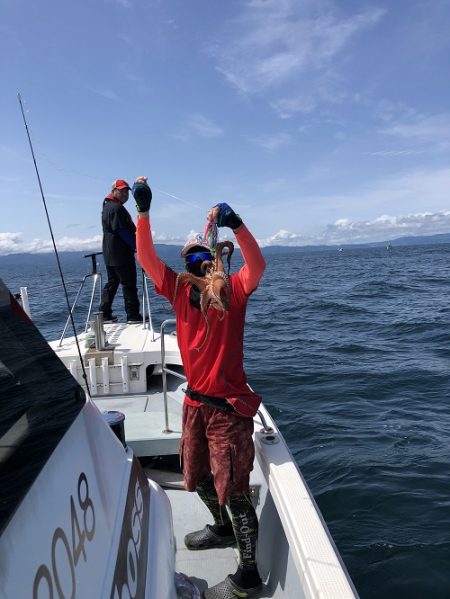 sea boss シーボス 釣果