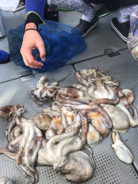 sea boss シーボス 釣果