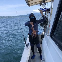 sea boss シーボス 釣果