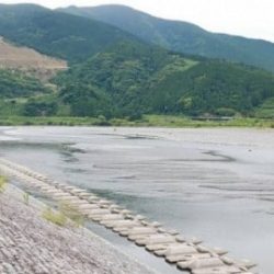 大井川(大井川(非)漁業協同組合) 釣果