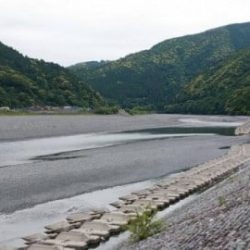 大井川(大井川(非)漁業協同組合) 釣果