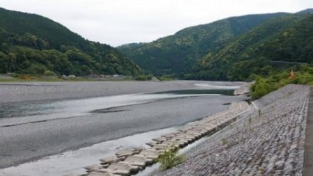 大井川(大井川(非)漁業協同組合) 釣果