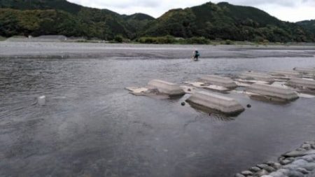 大井川（大井川(非)漁業協同組合） 釣果