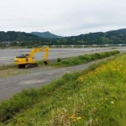 大井川(大井川(非)漁業協同組合) 釣果