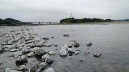 大井川(大井川(非)漁業協同組合) 釣果