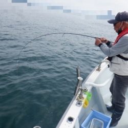 遊漁船 幸友丸 釣果