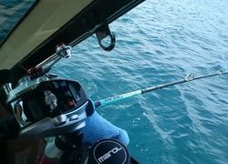 愛裕南丸 釣果