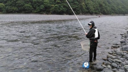 大井川（大井川(非)漁業協同組合） 釣果