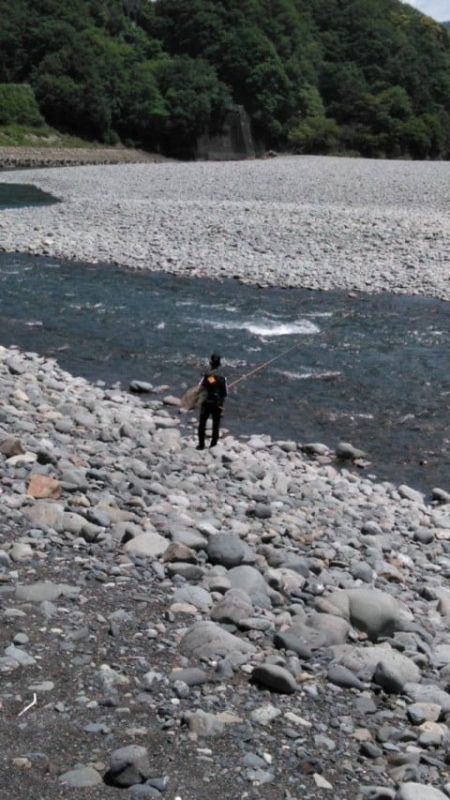 大井川(大井川(非)漁業協同組合) 釣果