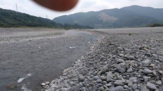 大井川(大井川(非)漁業協同組合) 釣果