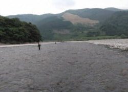 大井川(大井川(非)漁業協同組合) 釣果