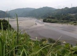 大井川(大井川(非)漁業協同組合) 釣果