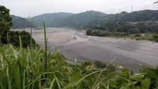 大井川（大井川(非)漁業協同組合） 釣果