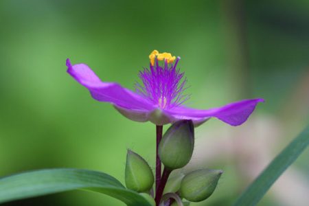 小菅トラウトガーデン 釣果