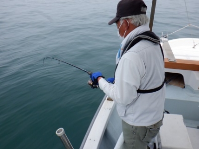 遊漁船 幸友丸 釣果