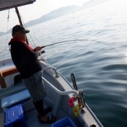 遊漁船 幸友丸 釣果