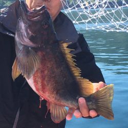 第八平成丸 釣果