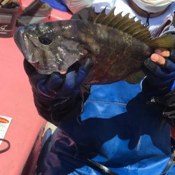 第八平成丸 釣果