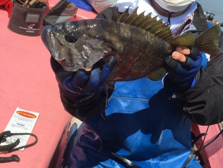 第八平成丸 釣果