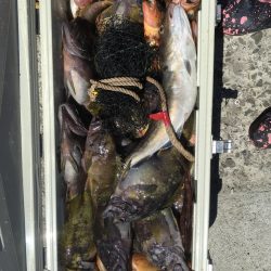 第八平成丸 釣果