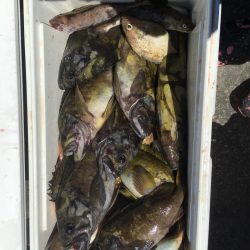 第八平成丸 釣果