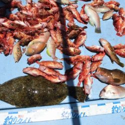 十八宝洋丸 釣果