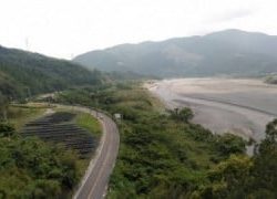 大井川(大井川(非)漁業協同組合) 釣果