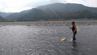 大井川（大井川(非)漁業協同組合） 釣果