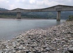 大井川(大井川(非)漁業協同組合) 釣果