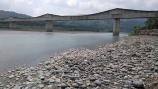 大井川(大井川(非)漁業協同組合) 釣果