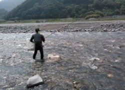 大井川(大井川(非)漁業協同組合) 釣果