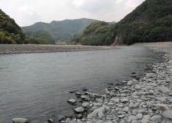 大井川(大井川(非)漁業協同組合) 釣果