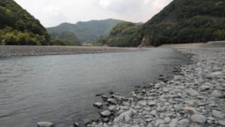 大井川(大井川(非)漁業協同組合) 釣果