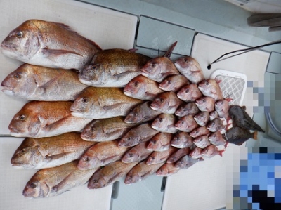 遊漁船 幸友丸 釣果