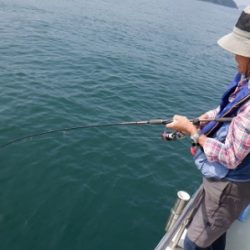 遊漁船 幸友丸 釣果