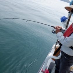 遊漁船 幸友丸 釣果