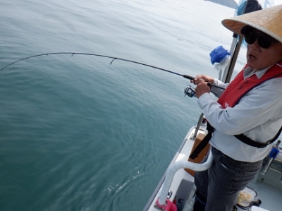 遊漁船 幸友丸 釣果