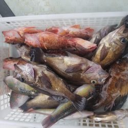 内浜丸 釣果