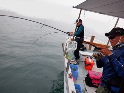 遊漁船 幸友丸 釣果