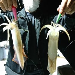 海龍丸(福岡) 釣果