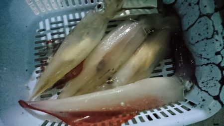 海龍丸(福岡) 釣果