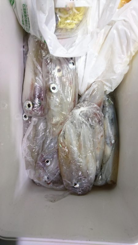 海龍丸(福岡) 釣果