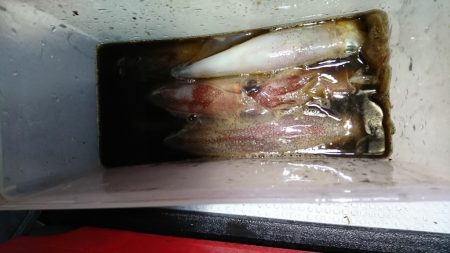 海龍丸(福岡) 釣果